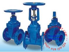 Flanged valve