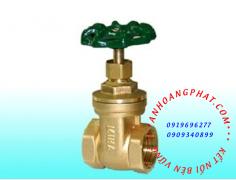 Brass gate valve
