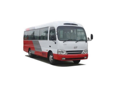 29-seat vehicle rental
