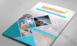 Profile and Catalog
