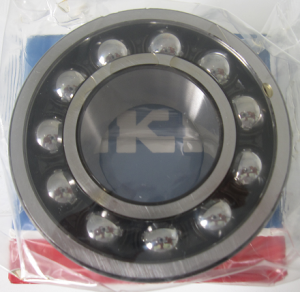 SKF Bearing 2309 EKTN9